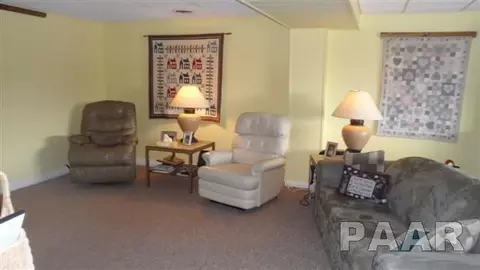 15252 E Kenabeck Trl, Cuba, IL 61427 photo 22