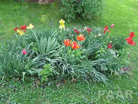 545 Oak, Metamora, IL 61548 photo 10
