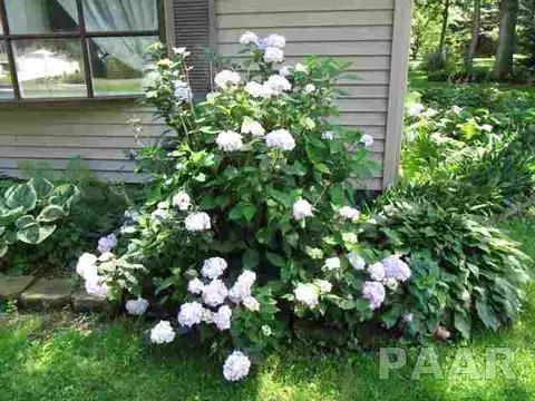545 Oak, Metamora, IL 61548 photo 2