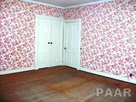 125 N 3rd, Canton, IL 61520 photo 20