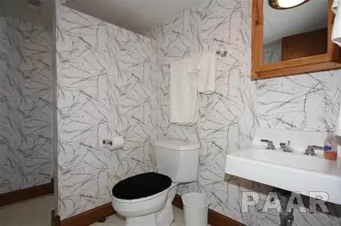 102 Pieper Cir, Delavan, IL 61734 photo 27