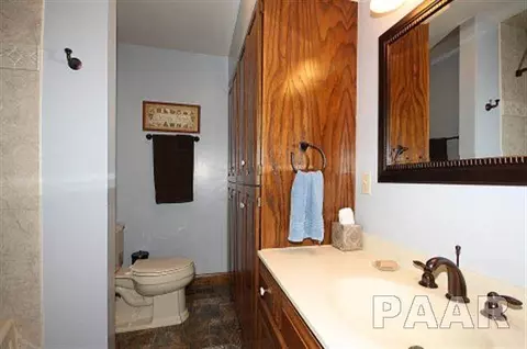 102 Pieper Cir, Delavan, IL 61734 photo 28