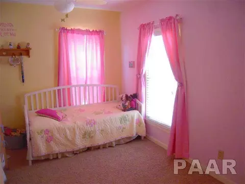 310 N Johnson, Oneida, IL 61467 photo 3