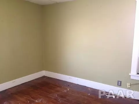 46 W Maple, Canton, IL 61520 photo 5