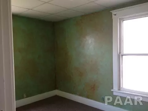 46 W Maple, Canton, IL 61520 photo 7