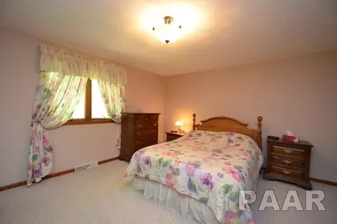 211 E Swords Dr, Edelstein, IL 61526 photo 17