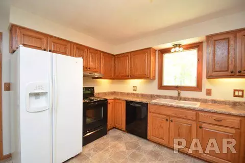 211 E Swords Dr, Edelstein, IL 61526 photo 4