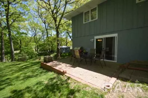 211 E Swords Dr, Edelstein, IL 61526 photo 31