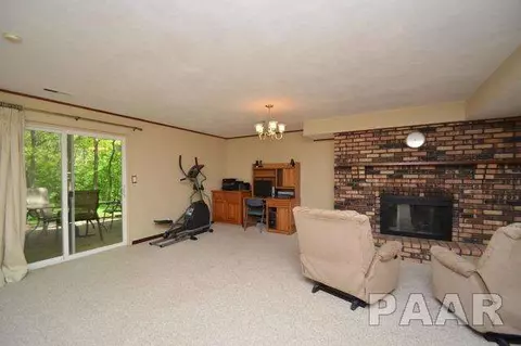 211 E Swords Dr, Edelstein, IL 61526 photo 12