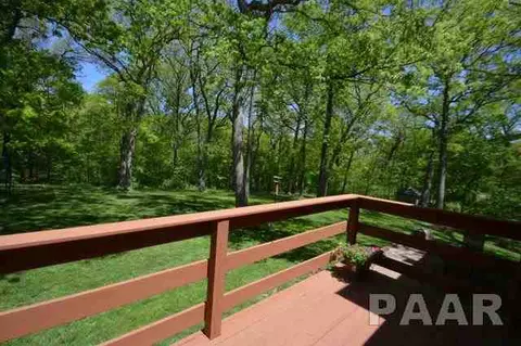 211 E Swords Dr, Edelstein, IL 61526 photo 33