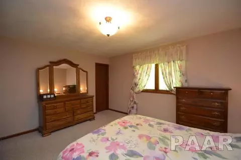 211 E Swords Dr, Edelstein, IL 61526 photo 18
