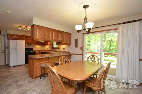 211 E Swords Dr, Edelstein, IL 61526 photo 9
