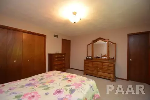 211 E Swords Dr, Edelstein, IL 61526 photo 19