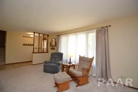 211 E Swords Dr, Edelstein, IL 61526 photo 8