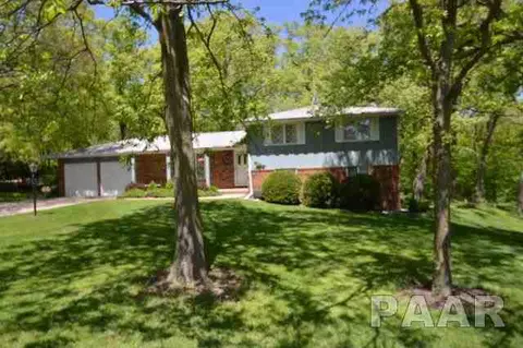 211 E Swords Dr, Edelstein, IL 61526 photo 35