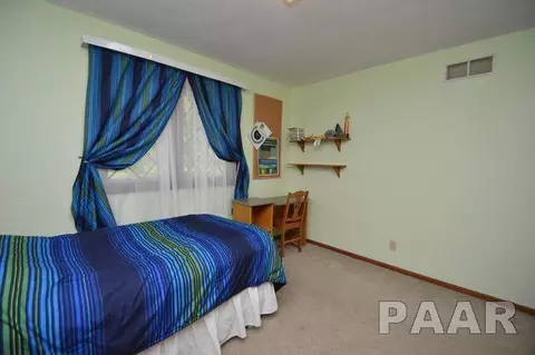 211 E Swords Dr, Edelstein, IL 61526 photo 22