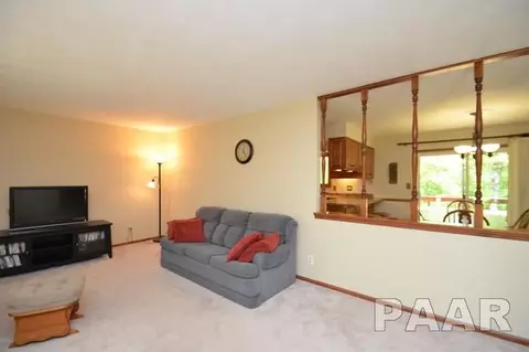 211 E Swords Dr, Edelstein, IL 61526 photo 7