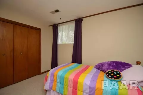 211 E Swords Dr, Edelstein, IL 61526 photo 24