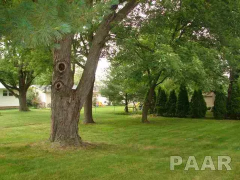 103 N 3rd St, Roanoke, IL 61561 photo 4