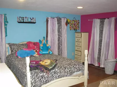 328 S Main, Canton, IL 61520 photo 17