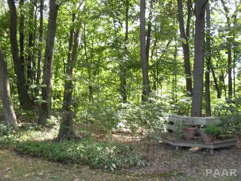 94 Maple Ridge Dr, Morton, IL 61550 photo 33