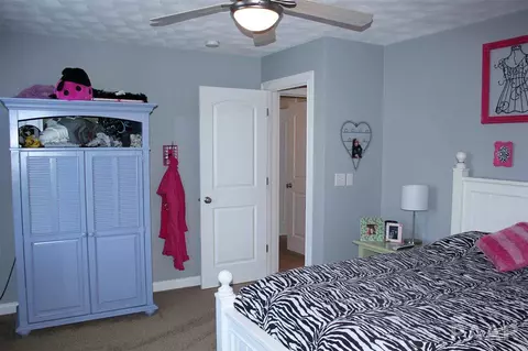 2305 W Pinnacle Dr, Dunlap, IL 61525 photo 24