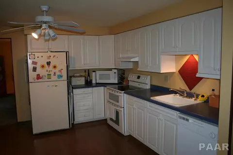 9924 W Buckhaven Ct, Mapleton, IL 61547 photo 19
