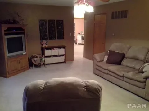 309 Shady Ln, Eureka, IL 61530 photo 9