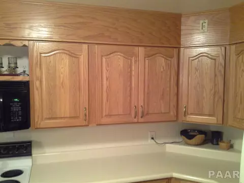 309 Shady Ln, Eureka, IL 61530 photo 24