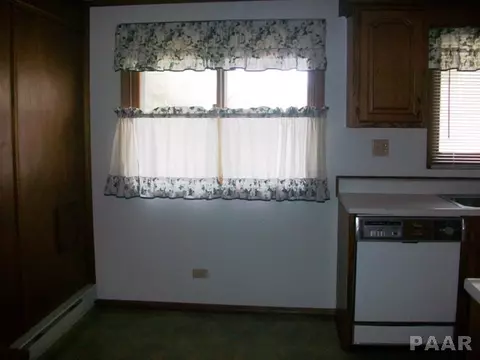1460 E Spruce, Canton, IL 61520 photo 29