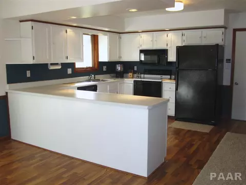 321 Arbor Vitae Dr, Germantown Hills, IL 61548 photo 7