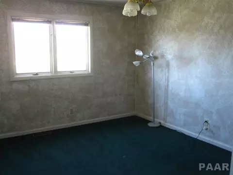 321 Arbor Vitae Dr, Germantown Hills, IL 61548 photo 22