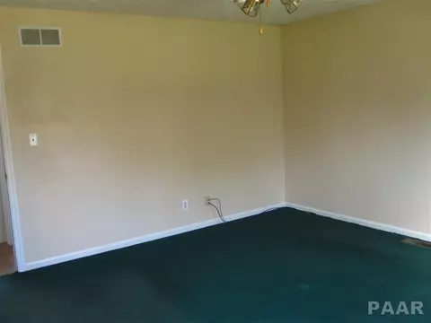 321 Arbor Vitae Dr, Germantown Hills, IL 61548 photo 19