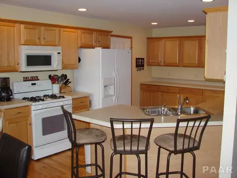 309 Bittersweet Ave, Germantown Hills, IL 61548 photo 9