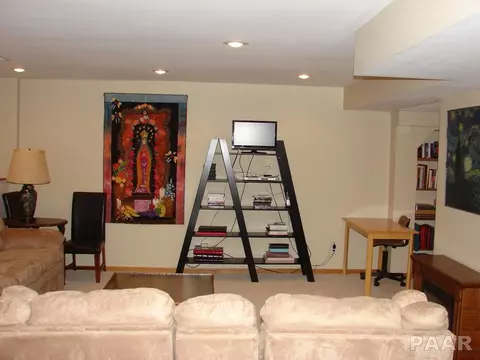 309 Bittersweet Ave, Germantown Hills, IL 61548 photo 18