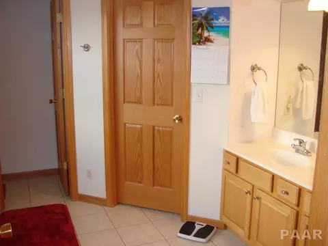 309 Bittersweet Ave, Germantown Hills, IL 61548 photo 13