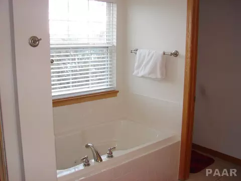 309 Bittersweet Ave, Germantown Hills, IL 61548 photo 14
