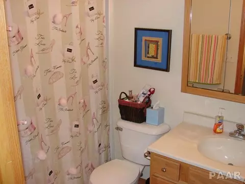 309 Bittersweet Ave, Germantown Hills, IL 61548 photo 17