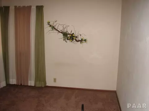 117 Reiter St, Benson, IL 61516 photo 8