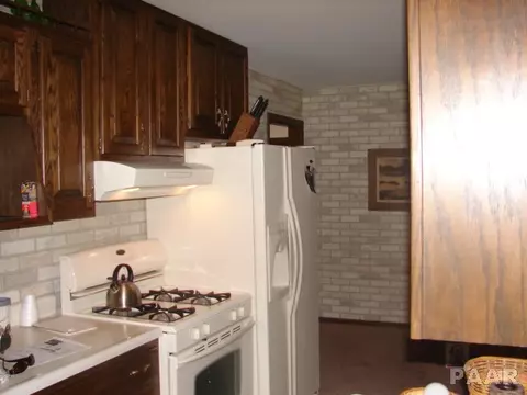 117 Reiter St, Benson, IL 61516 photo 5