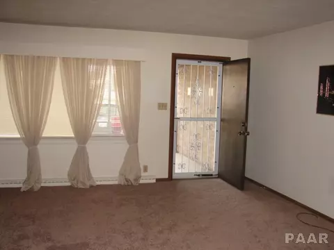 117 Reiter St, Benson, IL 61516 photo 3