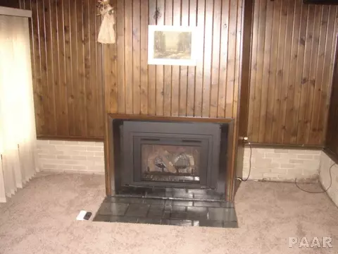 117 Reiter St, Benson, IL 61516 photo 4