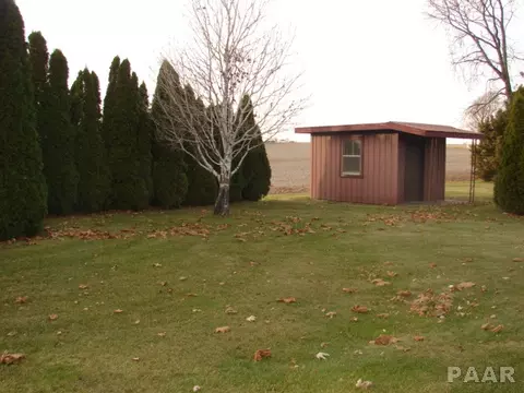 117 Reiter St, Benson, IL 61516 photo 11