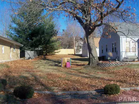 727 E Willcox Ave, Peoria, IL 61603 photo 20