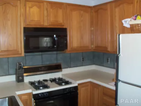 727 E Willcox Ave, Peoria, IL 61603 photo 4