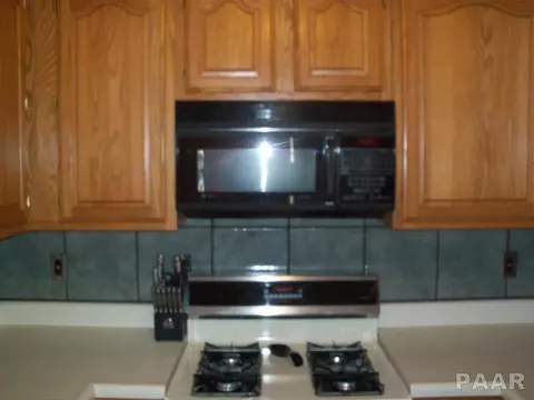 727 E Willcox Ave, Peoria, IL 61603 photo 13