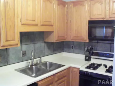 727 E Willcox Ave, Peoria, IL 61603 photo 3