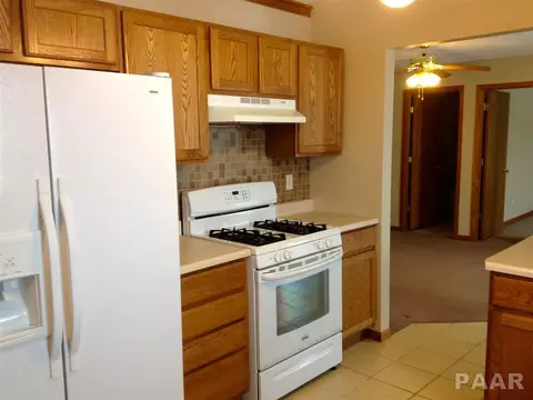 920 Dennis Dr, Eureka, IL 61530 photo 3