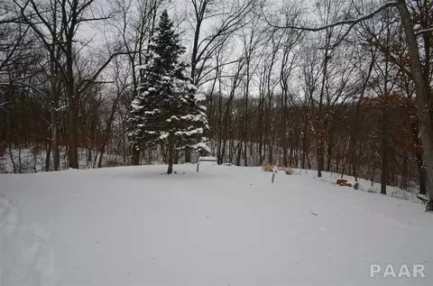 4017 S Autumn Ln, Mapleton, IL 61547 photo 30