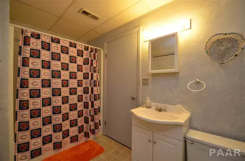 4017 S Autumn Ln, Mapleton, IL 61547 photo 21